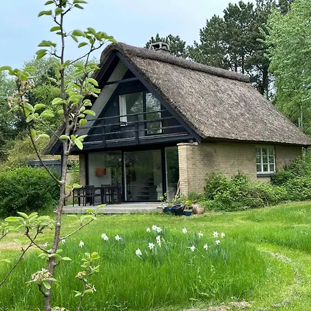 Dom wakacyjny Cozy Thatched With Modern Decor *