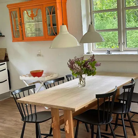 Cozy Thatched With Modern Decor