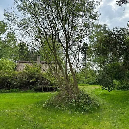 Cozy Thatched With Modern Decor *