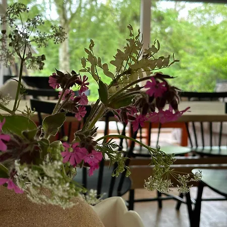 Cozy Thatched With Modern Decor Holiday home *