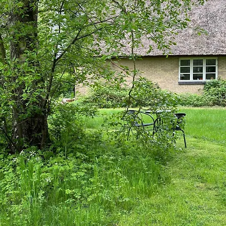 Dom wakacyjny Cozy Thatched With Modern Decor *
